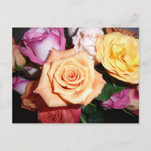 Cartão Postal Rosa laranja