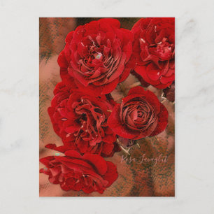 Cartão Postal Rosa Lavaglut [Cartão postal]