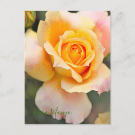 Cartão Postal Rosa "Manyo" [Cartão postal]