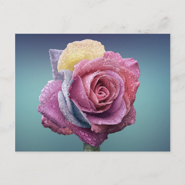 Cartão Postal Rosa multicolor (Frente)