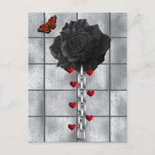 Cartão Postal Rosa Negra De Amor