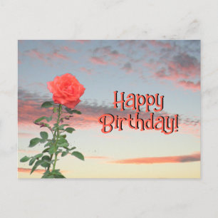 Cartão postal - Rosa no Sunset