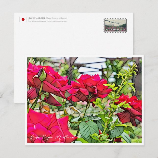 Cartão Postal Rosa Papa Meilland (Frente/Verso)