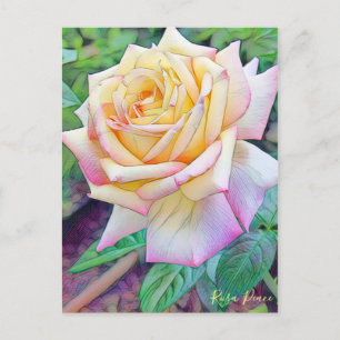 Cartão Postal Rosa Peace [Cartão postal]