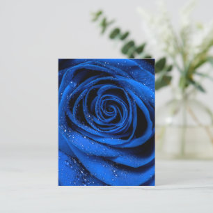 Cartão Postal Rosa Petals 3