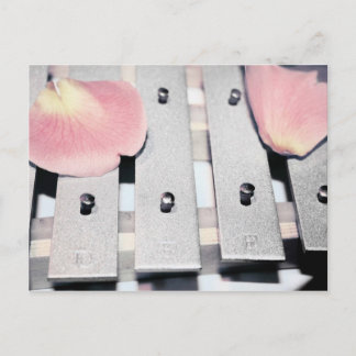 Cartão Postal Rosa Petals no estilo de lâminas metálicas desbota