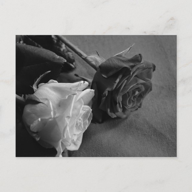 Cartão Postal Rosa Preta e Branca (Frente)