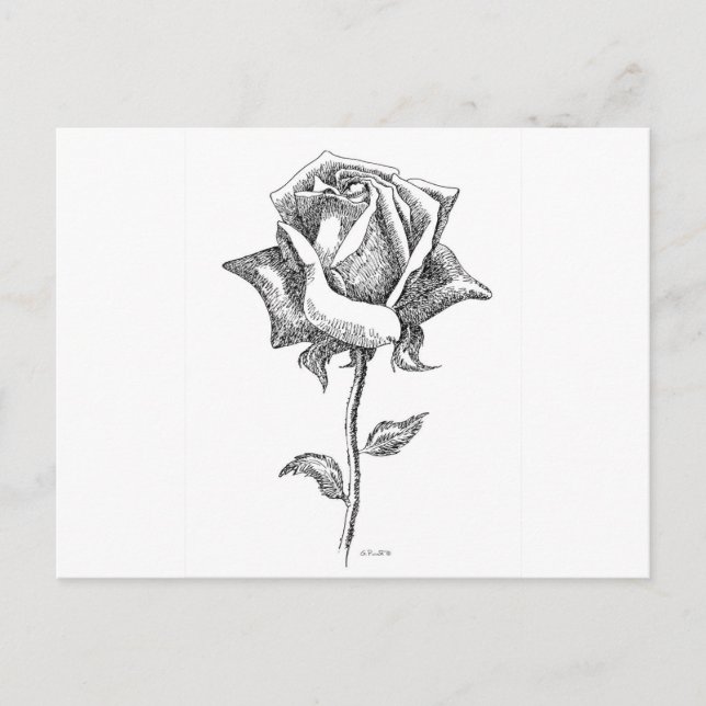 Cartão Postal Rosa Preta e Branca (Frente)