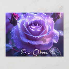 Cartão Postal Rosa Queen