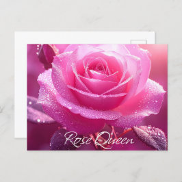 Cartão Postal Rosa Queen (edição rosa)