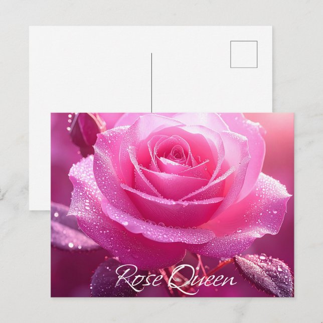 Cartão Postal Rosa Queen (edição rosa) (Frente/Verso)