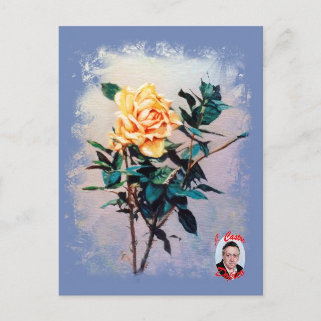 Cartão Postal Rosa/Rosa (Frente)