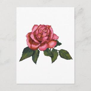 Cartão Postal Rosa Rosa Rosa Rosa solteiro: Desenho do Lápis de