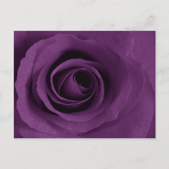 Cartão Postal Rosa Roxo de Artsy (Frente)