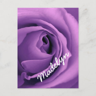 Cartão Postal ROSA SWEET PURPLE DREAMS versão 023A