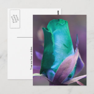 Cartão Postal Rosa Turquesa Personalizada