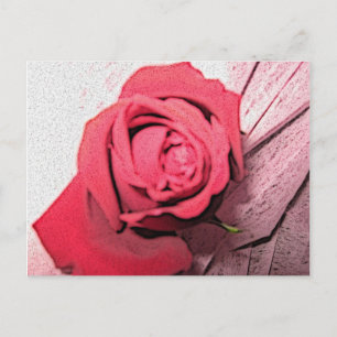 Cartão Postal Rosa Vermelha