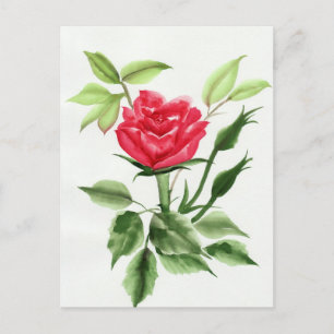 Cartão Postal rosa vermelha