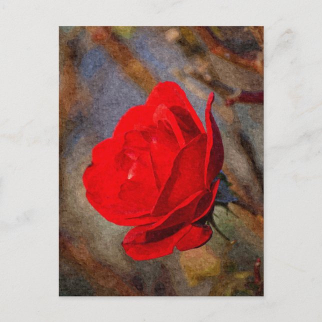 Cartão Postal Rosa Vermelha (Frente)