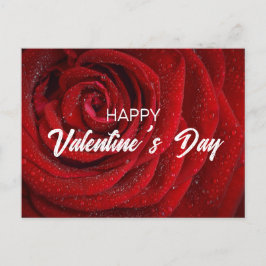 Cartão Postal Rosa vermelha, Namorados