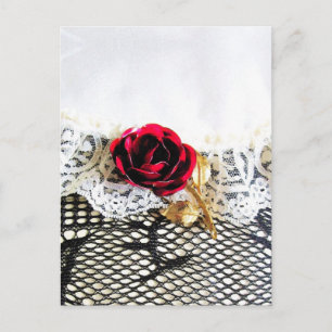 Cartão Postal Rosa vermelha romântica e rendas brancas