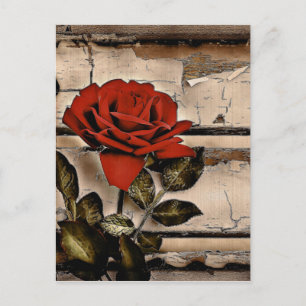 Cartão Postal Rosa vermelha Rústica Da Madeira Do Barn Com Dific