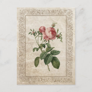 Cartão Postal Rosa Vintage III