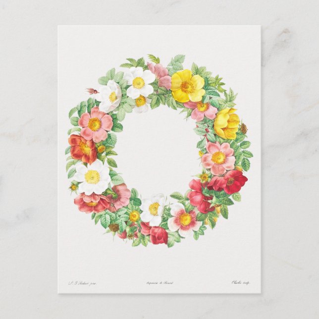 Cartão postal rosa Wreath Vintage (Frente)