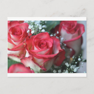 Cartão Postal rosas