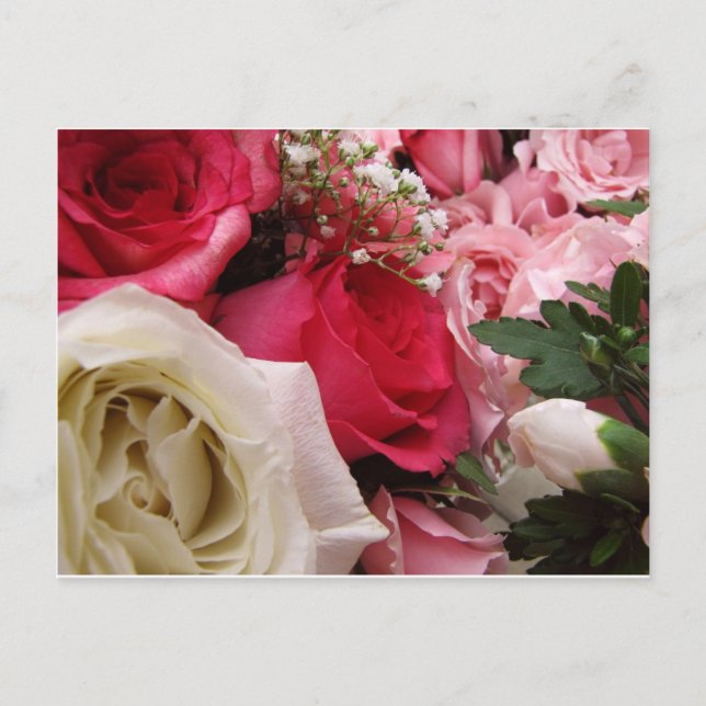 Cartão Postal Rosas (Frente)