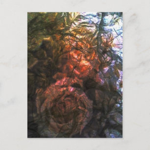 Cartão Postal Rosas
