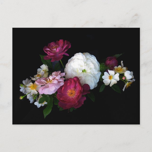 Cartão Postal Rosas antigos (Frente)