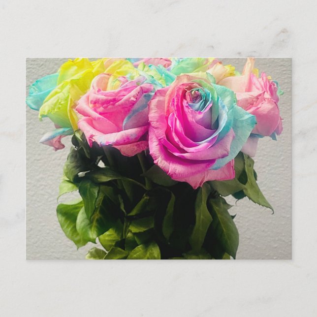 Cartão Postal Rosas Arco-íris (Frente)