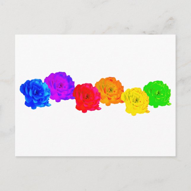 Cartão Postal Rosas Arco-íris (Frente)