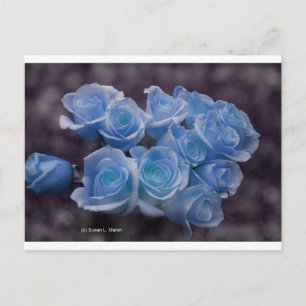 Cartão Postal Rosas azuis brilhantes sobre fundo escuro