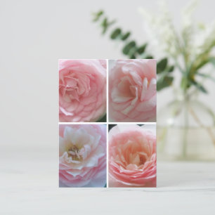 Cartão Postal Rosas bonito