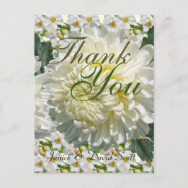 Cartão Postal Rosas Brancas e Casamento Chrysanthemum Obrigado