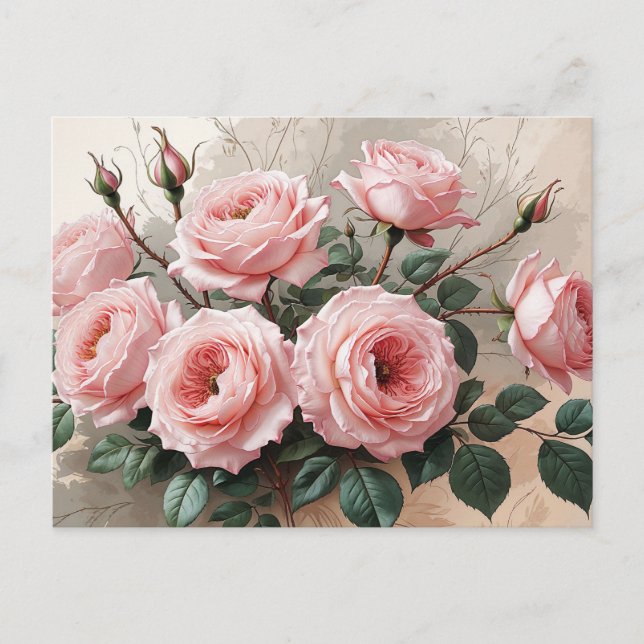 Cartão Postal Rosas Cor-de-Rosa em Flor  (Frente)