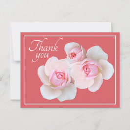 Cartão Postal Rosas Cor-de-Rosa Fundo Rosa Obrigado