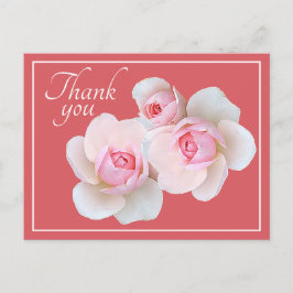 Cartão Postal Rosas Cor-de-Rosa Fundo Rosa Obrigado