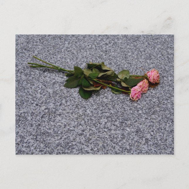 Cartão Postal rosas cor-de-rosa secando (Frente)