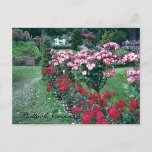Cartão Postal Rosas de árvores, Portland, Oregon
