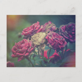 Cartão Postal Rosas de cartão-postal do Artesanato Ephemera