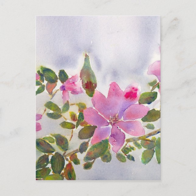 Cartão Postal Rosas de Nana (Frente)