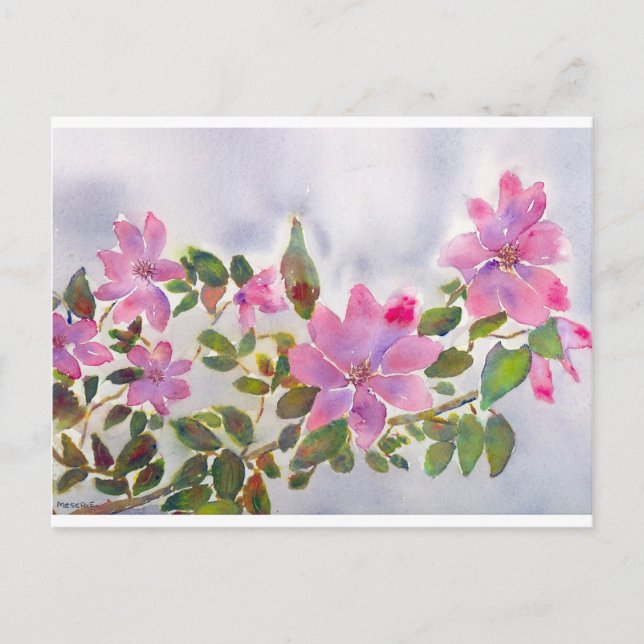 Cartão Postal Rosas de Nana (Frente)