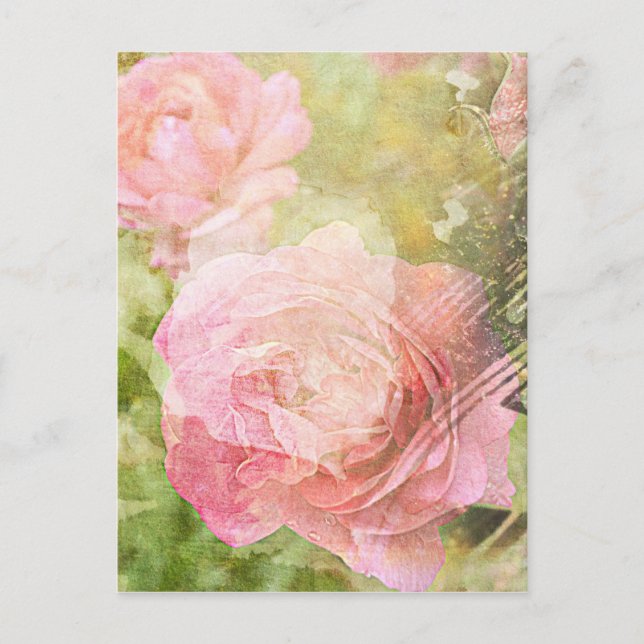 Cartão Postal Rosas doces (Frente)