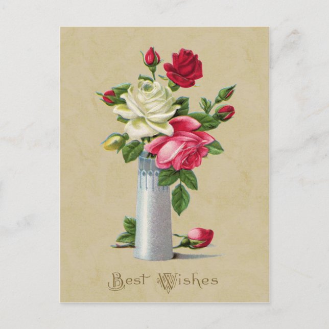 Cartão Postal Rosas em Vase preferem a reprodução de vinhetas (Frente)