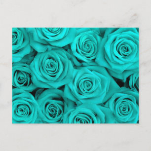 Cartão Postal Rosas Espetaculares de Turquesa