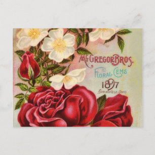 Cartão Postal Rosas Floral Gem Vintage Flower Catalog Cobrir