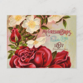 Cartão Postal Rosas Floral Gem Vintage Flower Catalog Cobrir